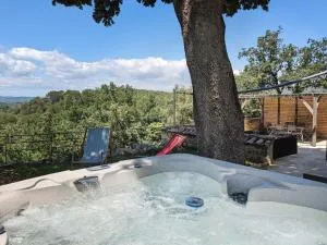 Le grand chêne vert - Bagnols-sur-Cèze - 圣纳泽尔