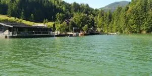 Echilibru - 科利比塔