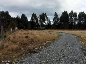 Cabaña Cunco parcela