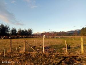 Cabaña Cunco parcela