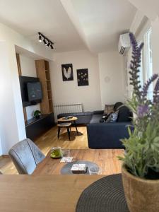 Cozy lux mountain apartment