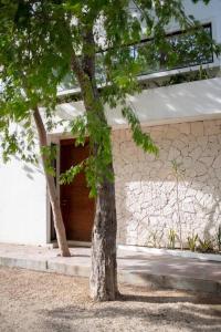 Your Luxurious Tulum Retreat