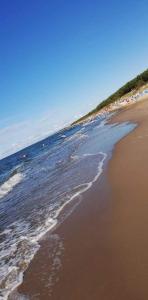 Domki Ameliowy Apartament Mielenko