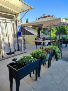 Apartments Flora 
