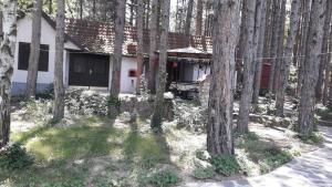 Apartman medju borovima