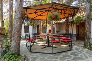 Apartman medju borovima