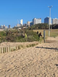 North Beach Summer Homes