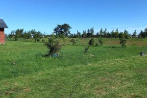 Casa campo, familiar