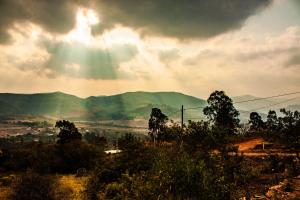 Cabaña Los Guapurús