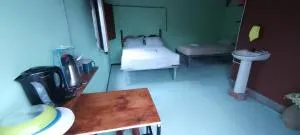 Árbol de mayo - Toro Amarillo