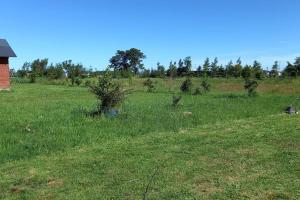 Casa campo, familiar