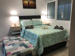 Albano habitación acústica cocina y baño