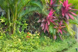 Lily 3 BR Private Pool Villa AN27