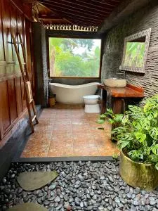 JANE’S HOUSE & SPA BEDUGUL BALI - Plaga