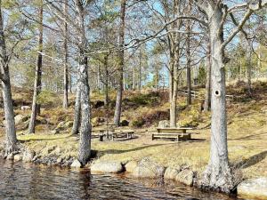 4 person holiday home in Holmsjö-By Traum