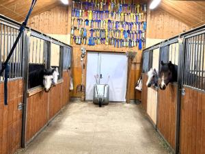 4 person holiday home in BURTRÄSK