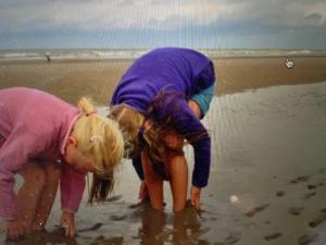 Seestern am Naturstrand