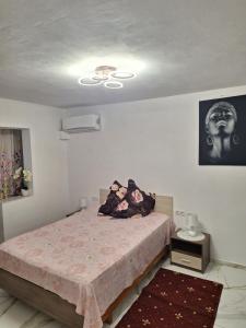 Apartament IRIS Băile Herculane