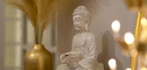 Calm and Cozy- Tffstays