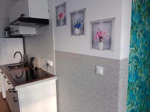 Mieszkanie na Wygodzie M1-parking free