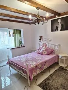 Apartament ELVIRA Băile Herculane - Eftimie Murgu