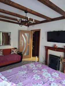 Apartament ELVIRA Băile Herculane