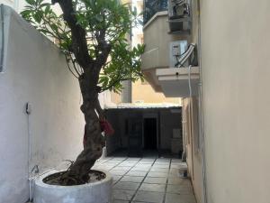 Visitors Lounge by MMG - 2&3BHK Furnished - Rd 12 Banjara Hills