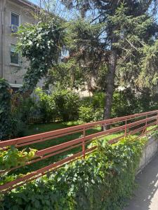 Vila Relax Cotroceni