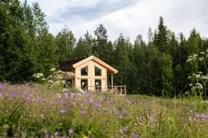 BLUEBERRY LODGE 5 personnes - Jock