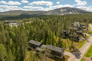 Villa Kuusi by HiYlläs