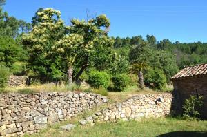 B&B / Chambres d'hotes Mas des Druilles : photos des chambres