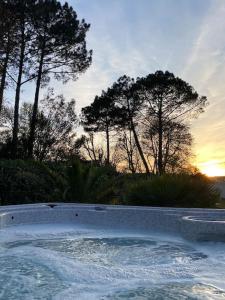 Maisons de vacances Villa Bleu Bassin & Spa - Bassin d Arcachon : photos des chambres