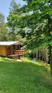 Domki letniskowe pod Brzozami Stella - Berezka