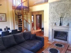 Obszerny apartament w Charzykowy - 霍伊尼采