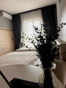 Київські Ночі