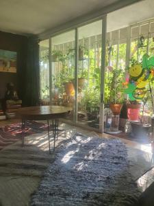 Libros y plantas a 5 minutos del centro en bus