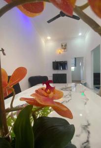 TBJ HOMESTAy