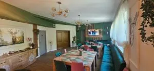 Villa Ileana - Pintic