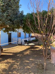 Les cavaliers chez Yassine