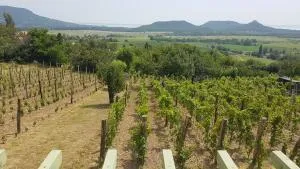 Grand Cru 4 Vendégház - Kisapáti