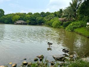 Rose homestay Ecopark