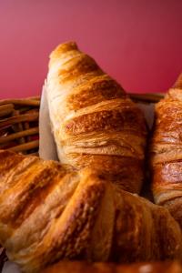 Appart'hotels Chalet Nant Rouge : photos des chambres