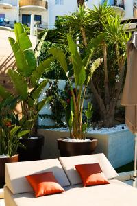 apartamentos typic oasis sa tanca
