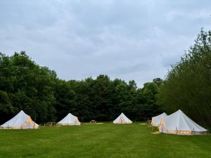 Damson Bell Tent