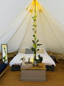 Damson Bell Tent