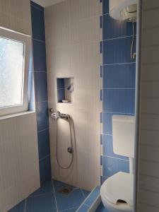 Apartmanes Volaric M