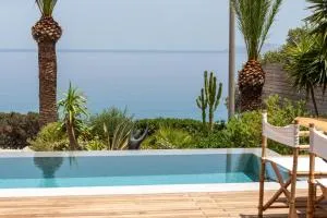 Palm Tree private pool Villa - Vathi