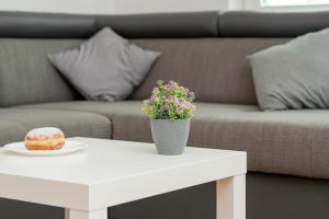 Apartament Słoneczny Balkon z Parkingiem by Noclegi Renters