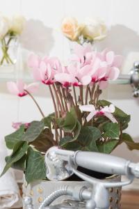 The Loop Farmhouse Mooi River