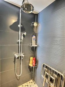 Appartements Le Tropical Maconnais de Miss K : photos des chambres